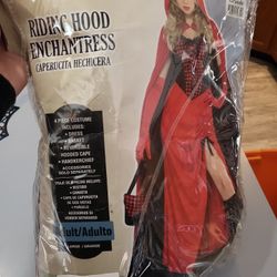 Riding Hood Enchantress Costume 