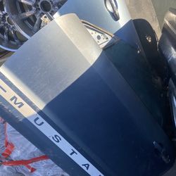 2007 Mustang Doors