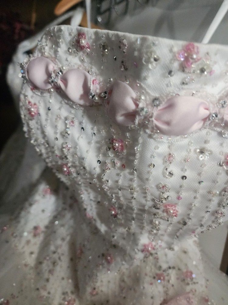 Beautiful Ball Gown Any Event For A Princess