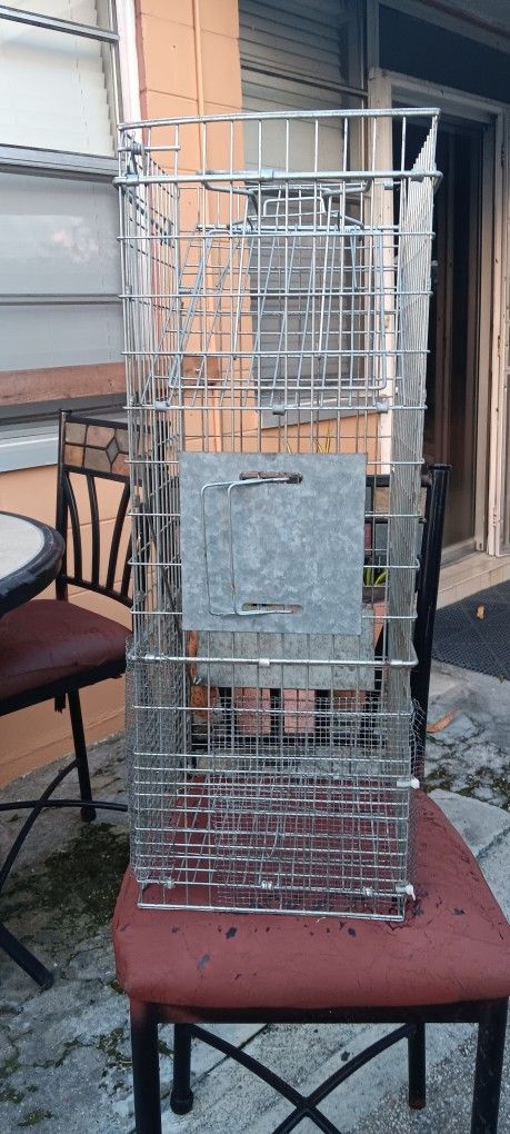 Animal Trap