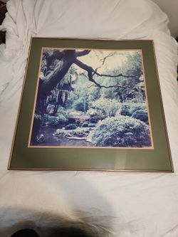 Picture art frame from beard frame shops