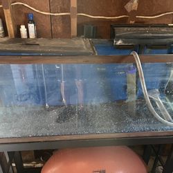 55 gallon aquarium with stand and filter