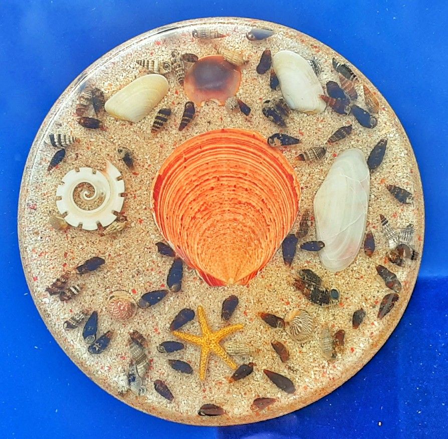 1970s Resin Plastic Seashell & Sand 5.5" D Footed PERFECT Trivet McM Vintage Plastic