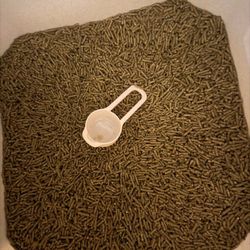 Bunny stuff for sale bunny supplies