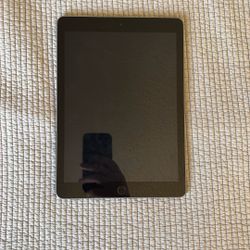 iPad (5th Gen, iOS 16.7.12)