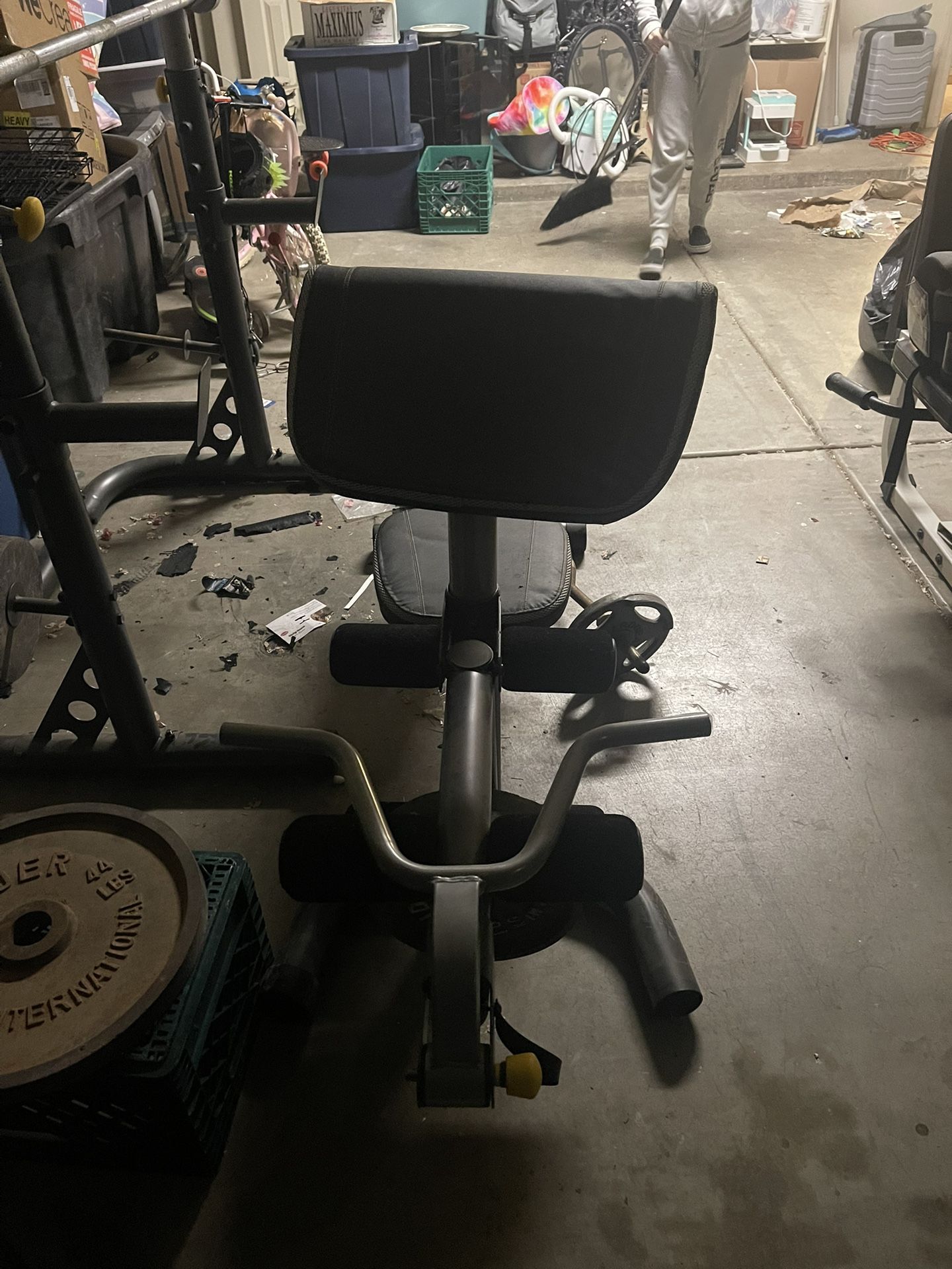 Golds Gym Bench Press 