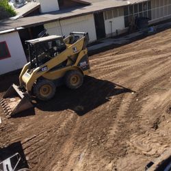 Bobcat Skid Steer 