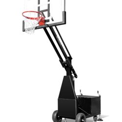 Pro Dunk Hoops Bear Silver Portable Basketball Training Hoop