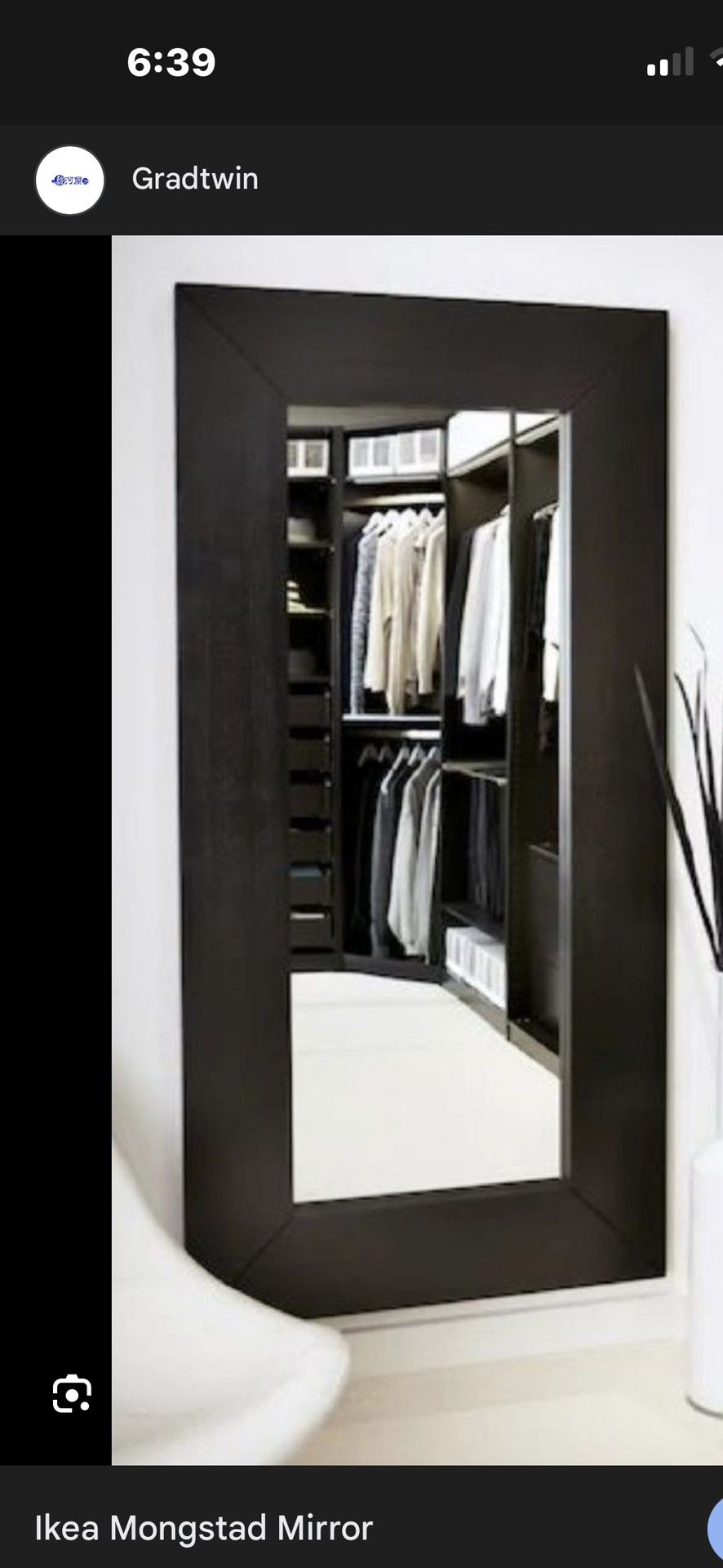 IKEA montane full Length And Then Some, Mirror