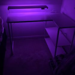 Transform your workspace with the stunning Nice Desk 120, complete with convenient outlets and built-in lighting. It's the perfect blend of style and 