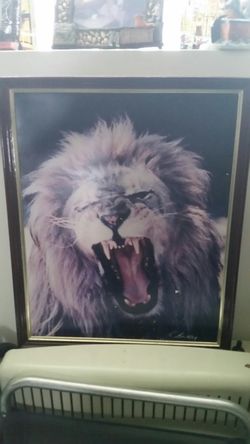 Giant Lion portrait w/frame