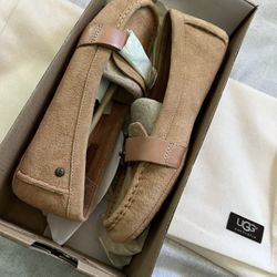 Ugg Slides 