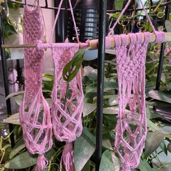 Handmade Mini Macrame W/propagation Bottles, Free Plant Cutting With Purchase 