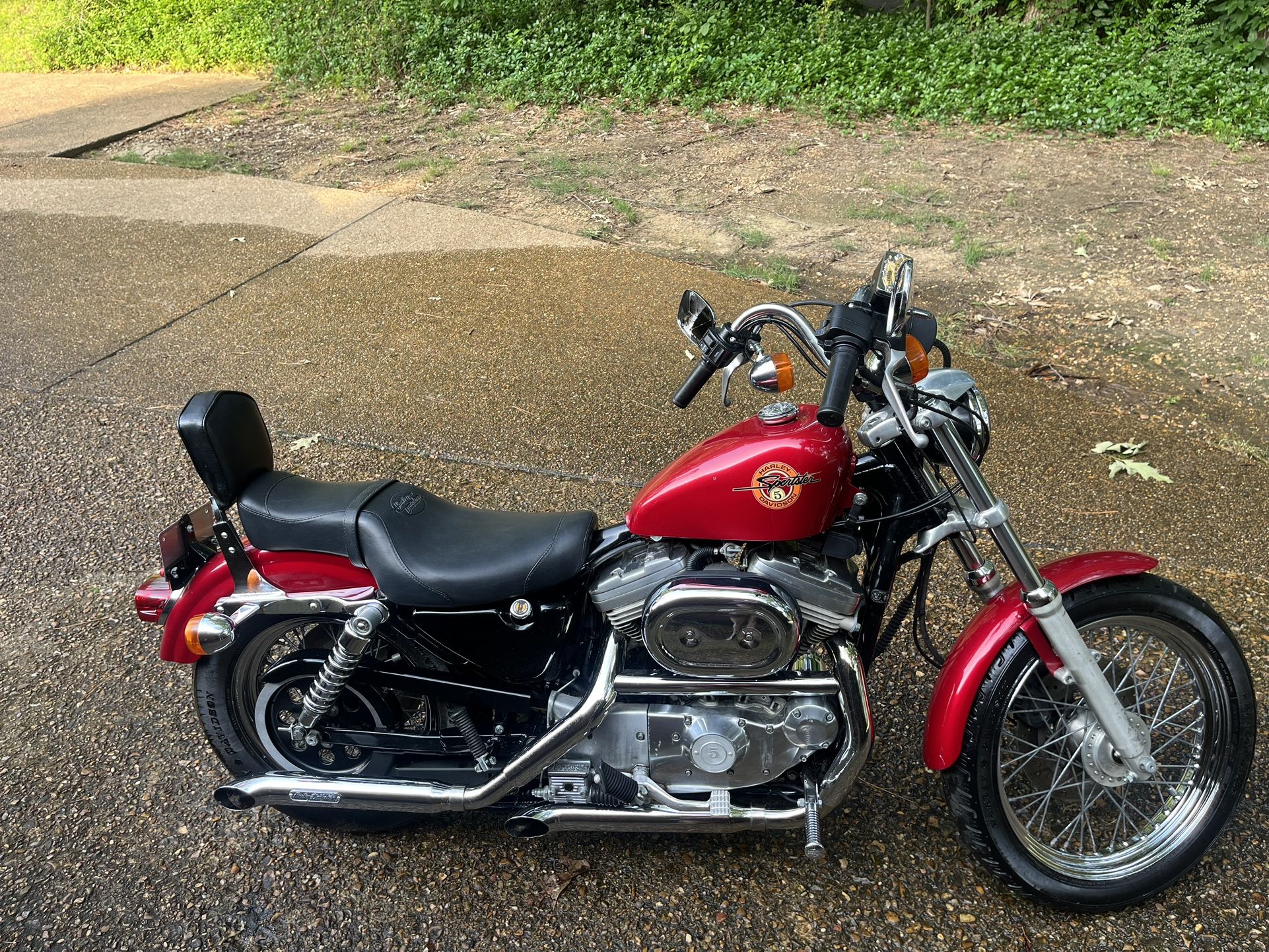 1994 Harley Davidson Sportster