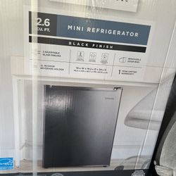 Mini Fridge 