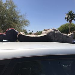 Three Small Dog Beds Sold Individually 