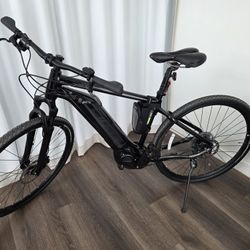 Giant Roam E+