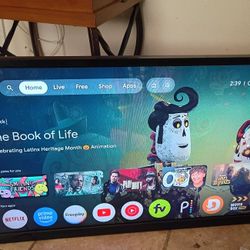 32 Inch Vizio Tv (Not Smart)