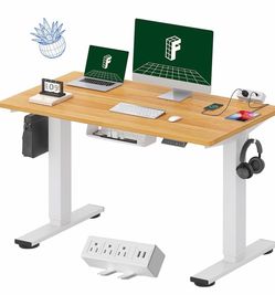 48” Electric Standing Desk (Fully Assembled)