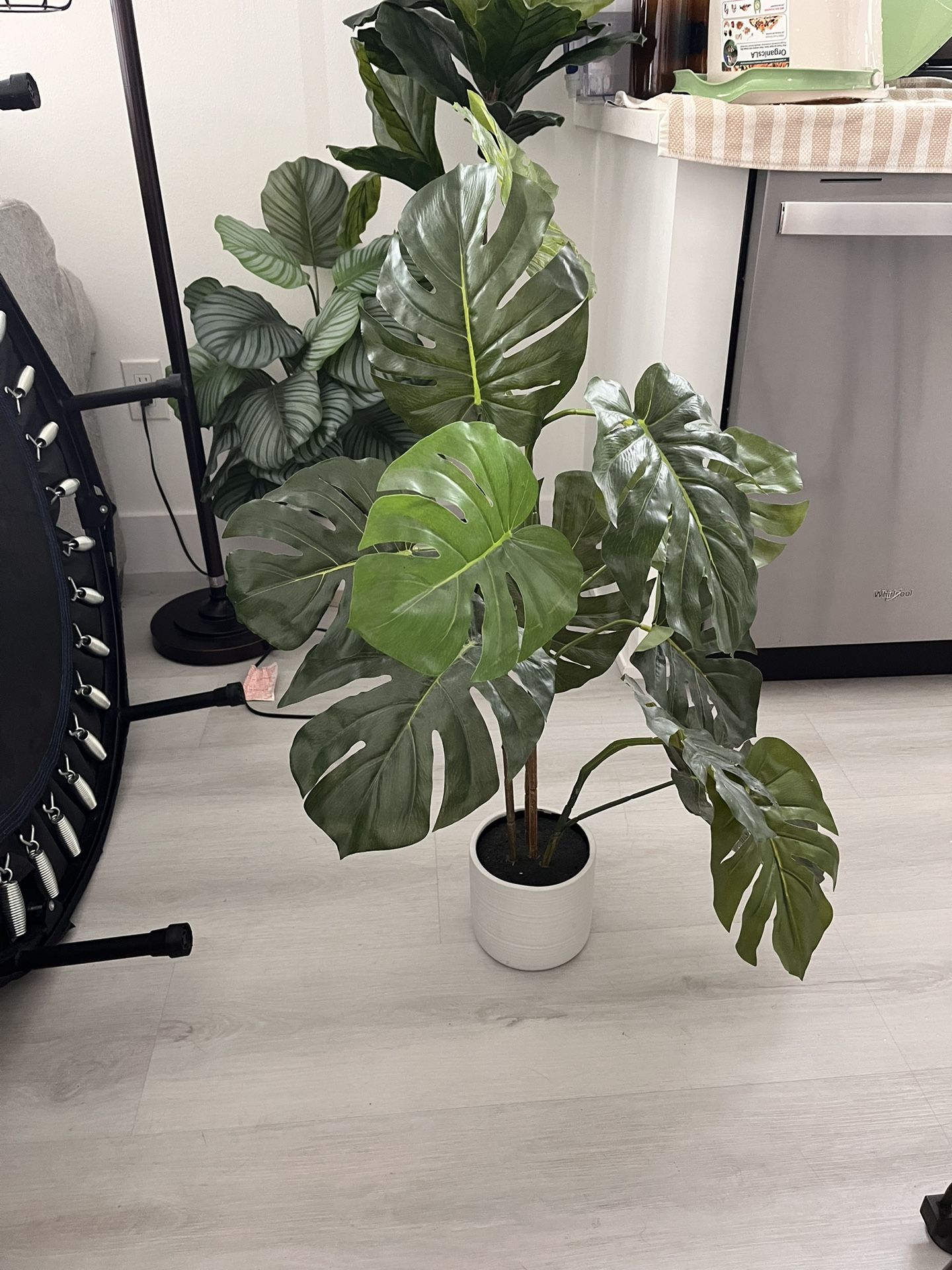 Faux House Plants
