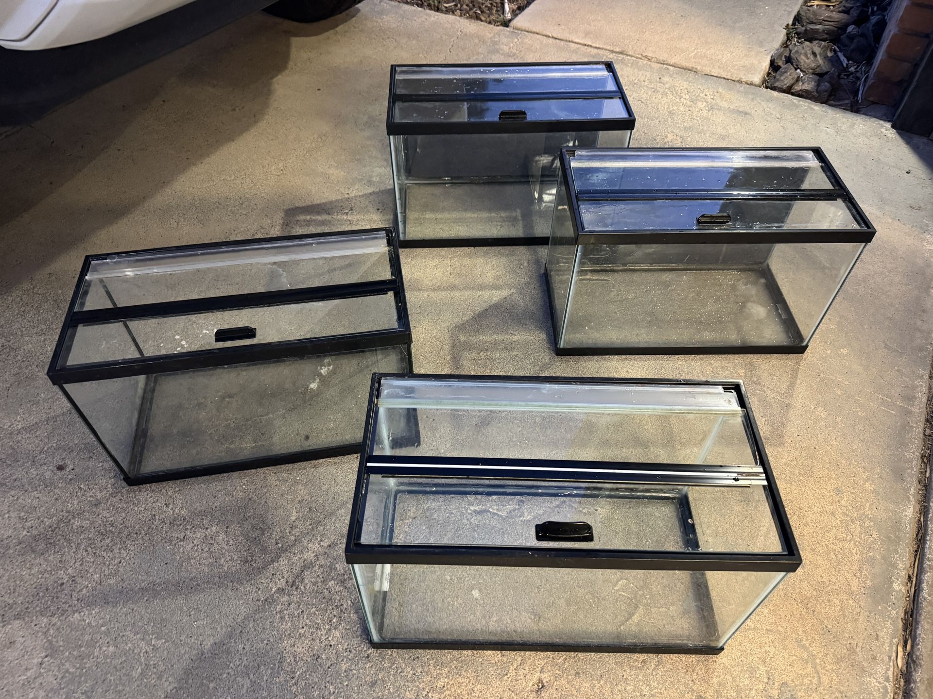 10 Gallon Fish Tanks