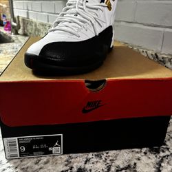 Jordan 12 Taxi