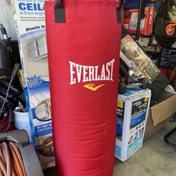 Everlast 70Lbs. Heavy Punching Bag 