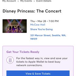 Disney Princess  Concert (4)