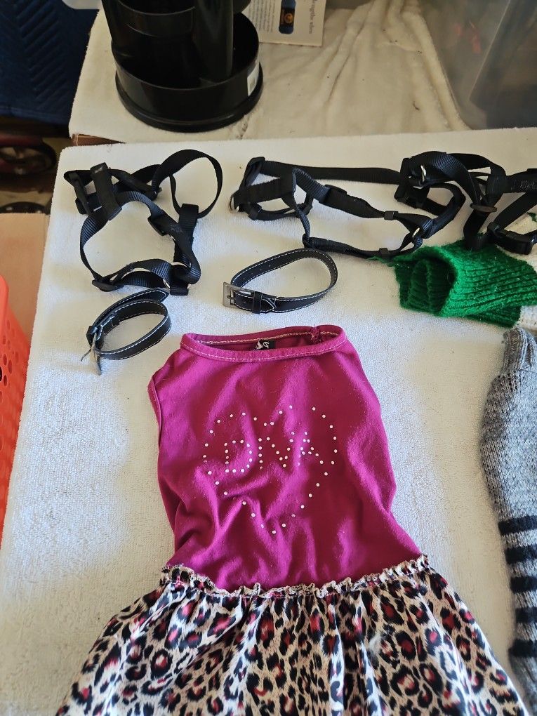 Small Dog Apparel