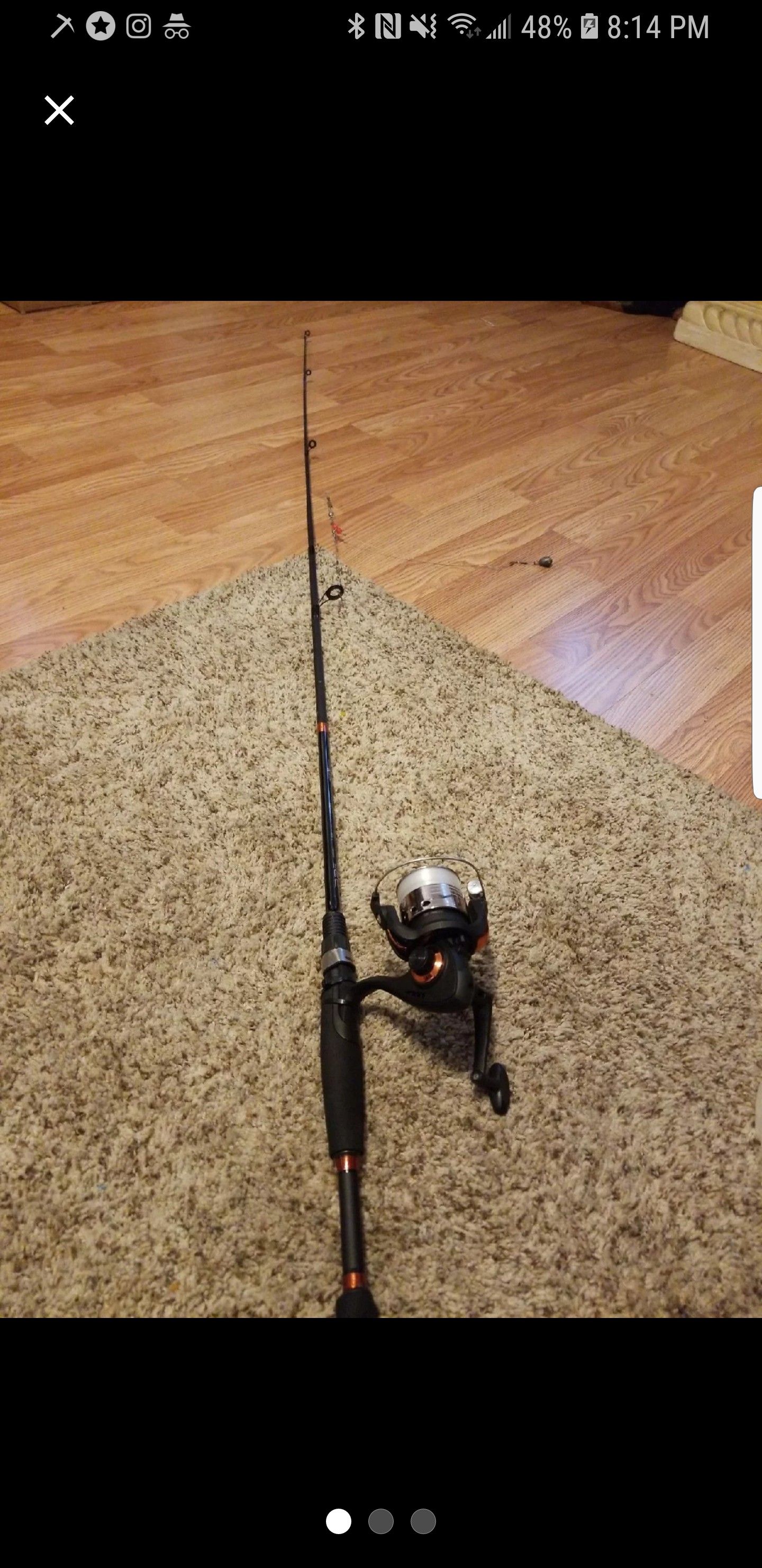 Fishing pole with reel