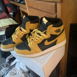 Throw back Nike dunk highs. Pollen