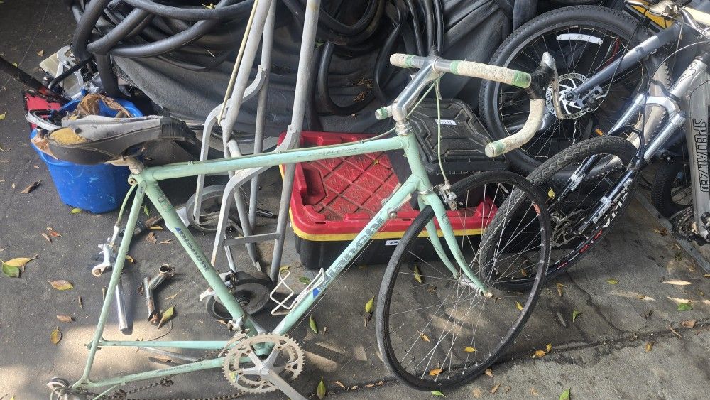 Bianchi Sport Sx Bianchi Sport Sx 700c Medium Missing Back Wheel As Is