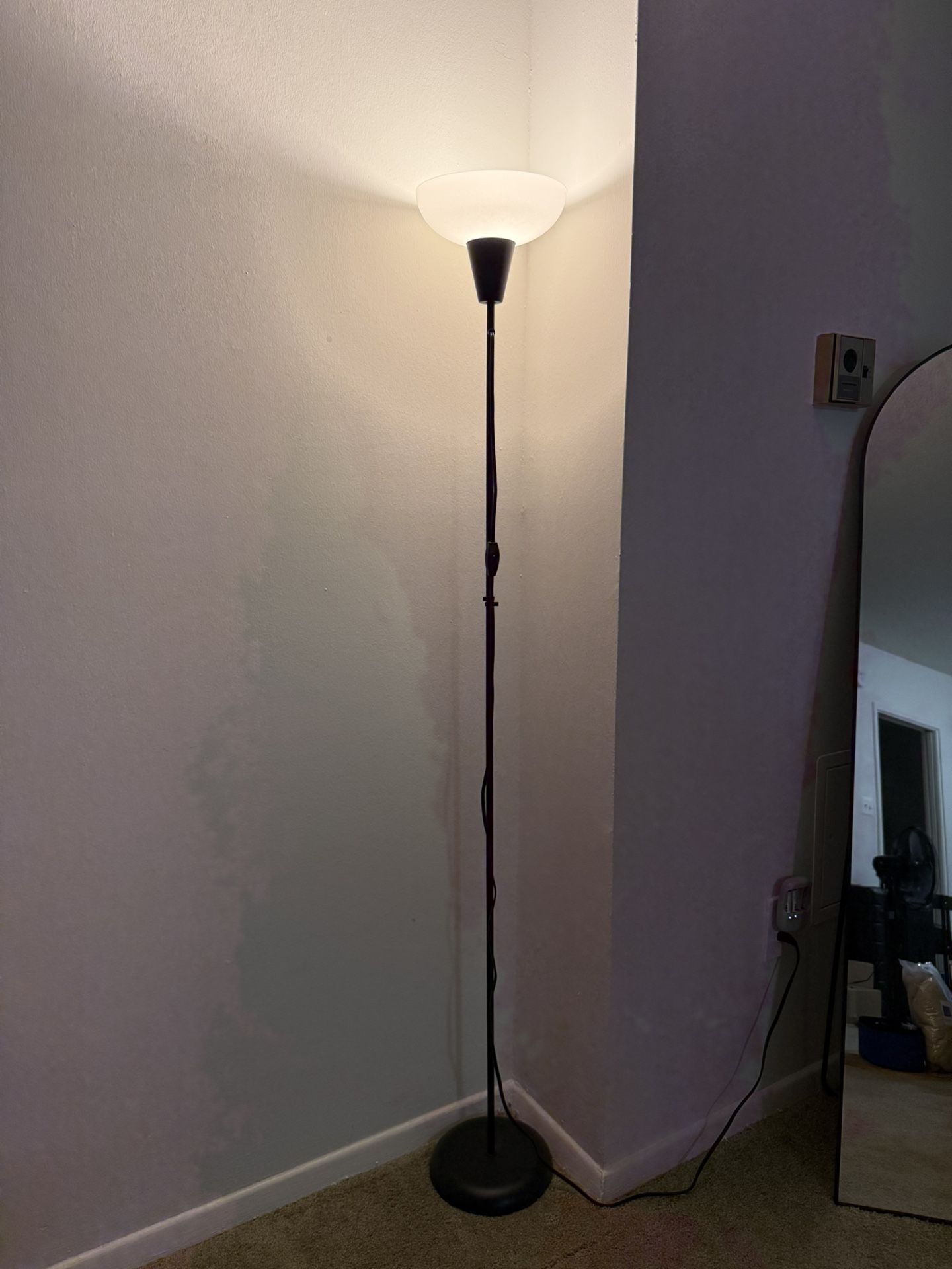 Floor Lamp woth Bulb
