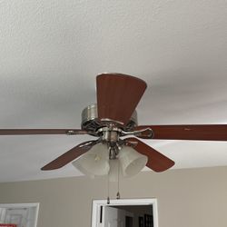 Two Like New Ceiling Fans 