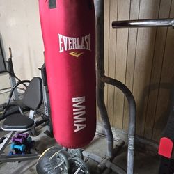 Punching Bag Plus Stand
