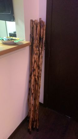 Walking sticks