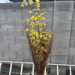 Dry plants foliage for home decoration,