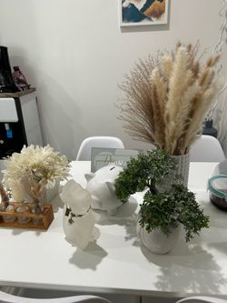Aesthetic Display Decoration Bundle