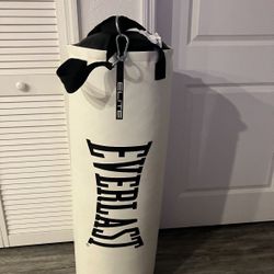 Everlast punching bag set 90lb
