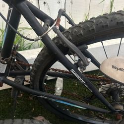 Bicycle