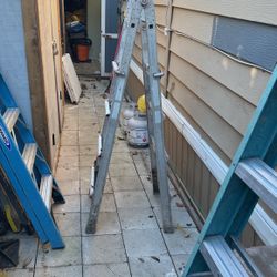 Ladder