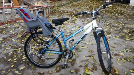 Schwinn bike meed gone