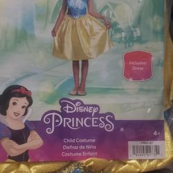Princess Costume Disney