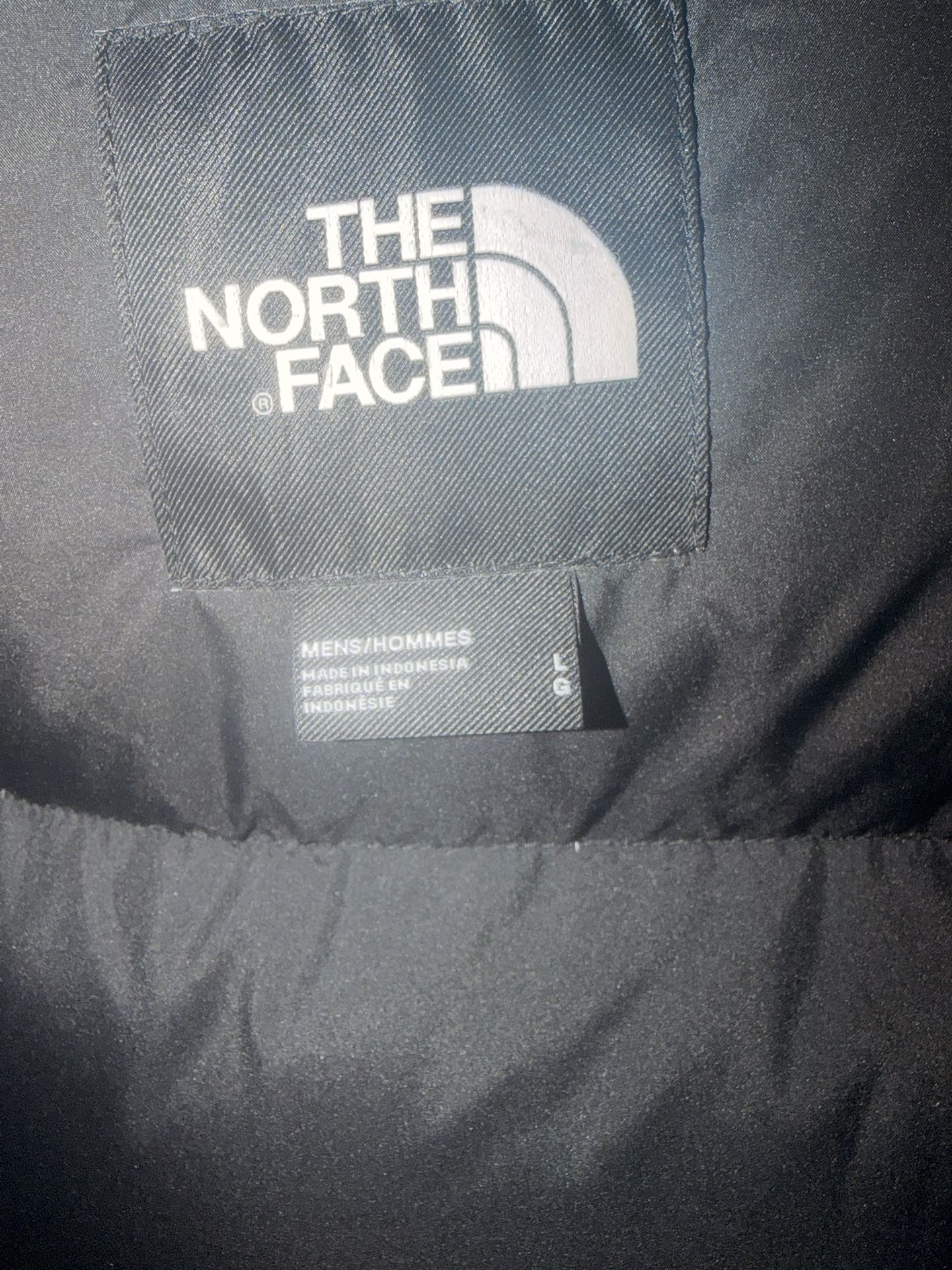 The North Face McMurdo Parka. Size-L