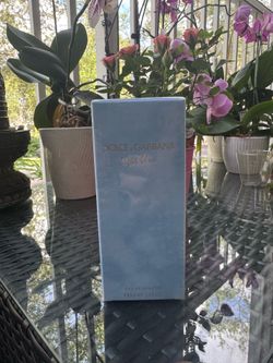Dolce & Gabbana Light Blue Women’s Perfume