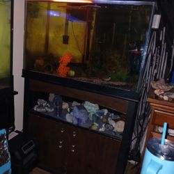 Fish Tank  Set