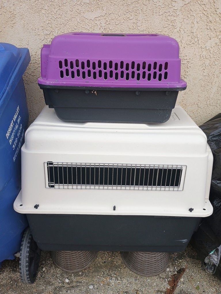 Dog Cat Transportation Kennels 