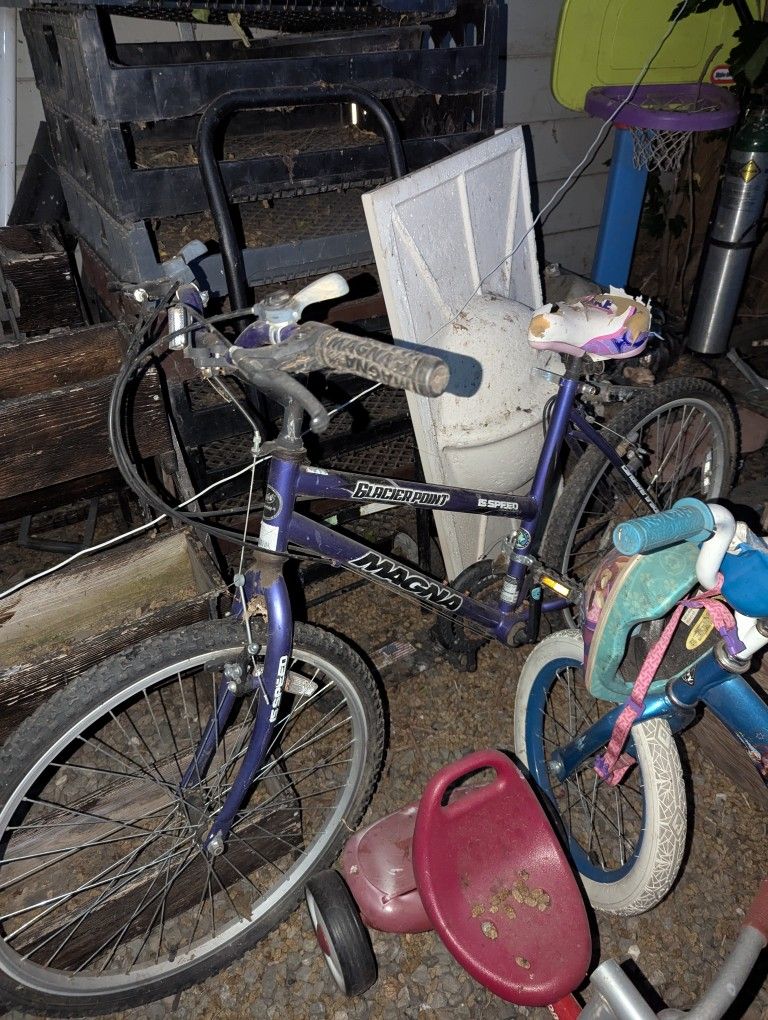 MAGNA BIKE
