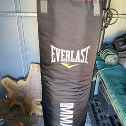 Everlast MMA 70lbs Heavy Punching Bag