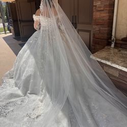 Ball Gown Wedding Dress